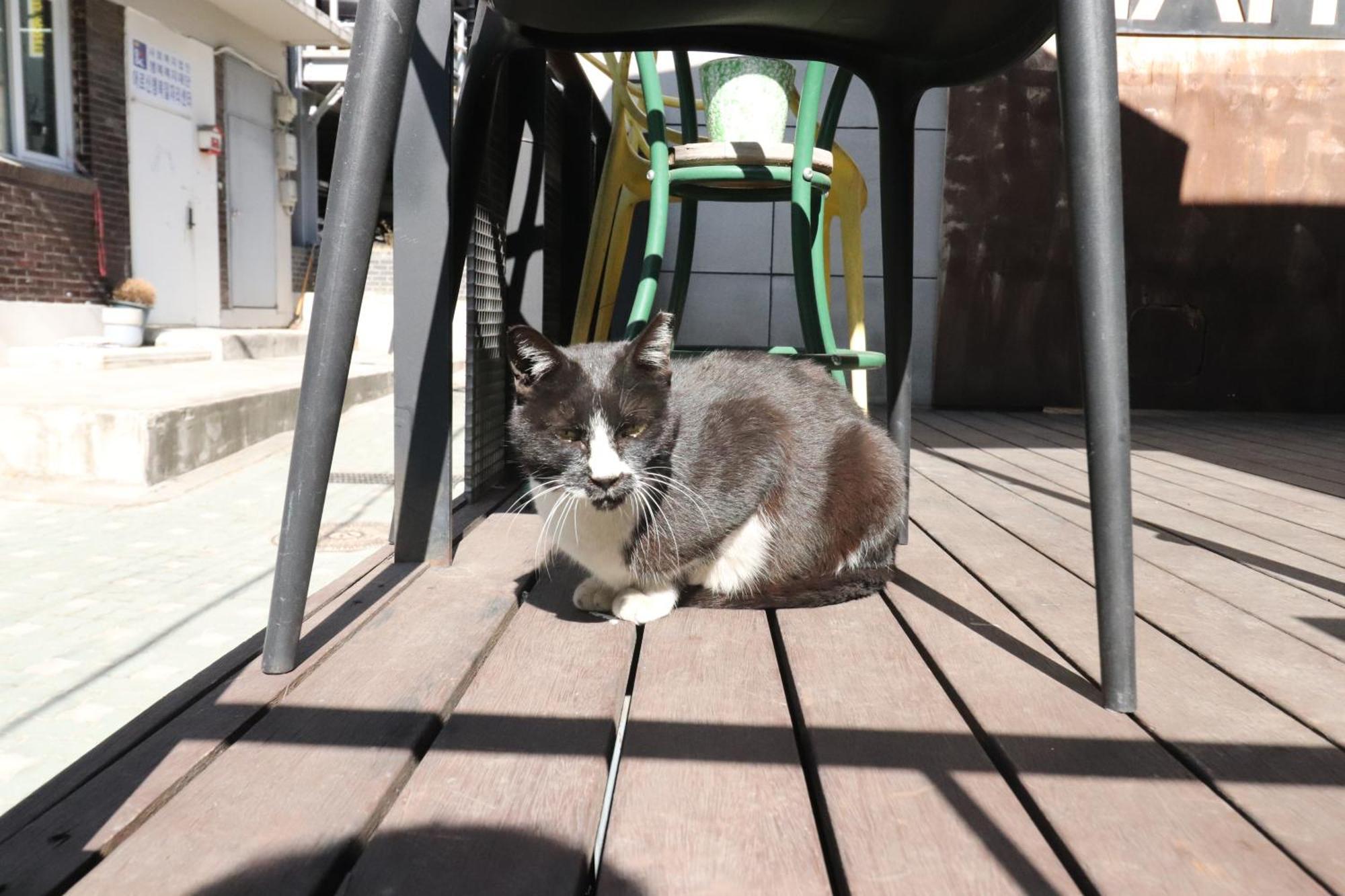 Hah Guesthouse Seoul Exterior foto